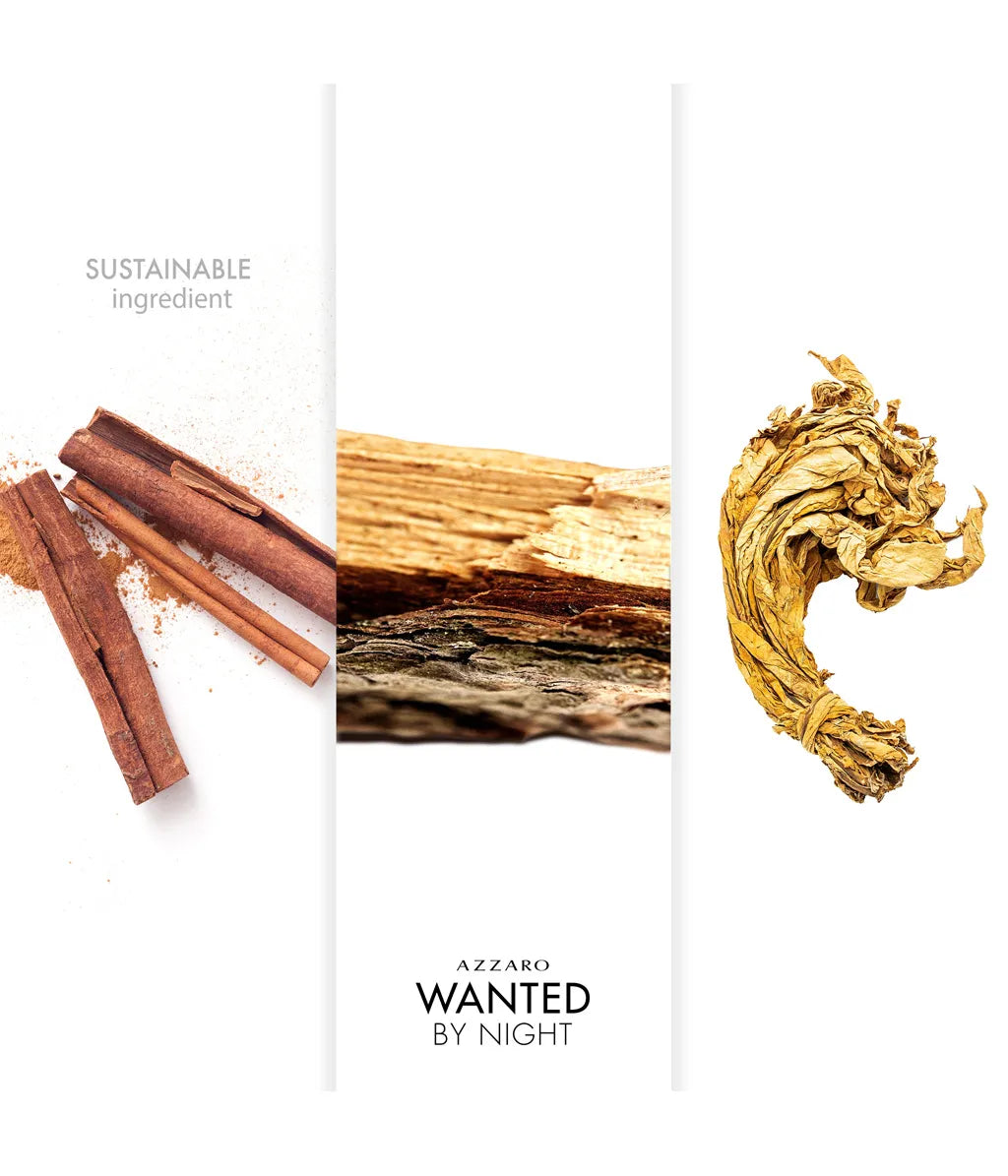 Azzaro Wanted by Night Zimt Tabak Duft