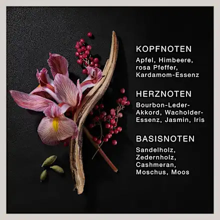 David Beckham Exquisite Leather