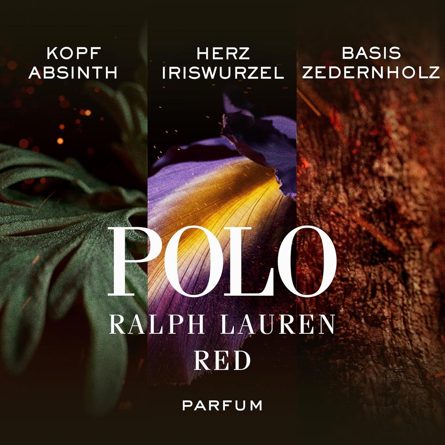 Ralph Lauren Polo Red Parfum | Feuriger Herrenduft