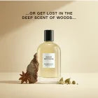 David Beckham Refined Woods aromatischer Duft