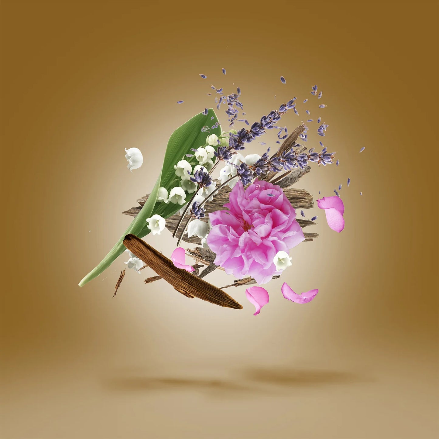 Xerjoff ALEXANDRIA II