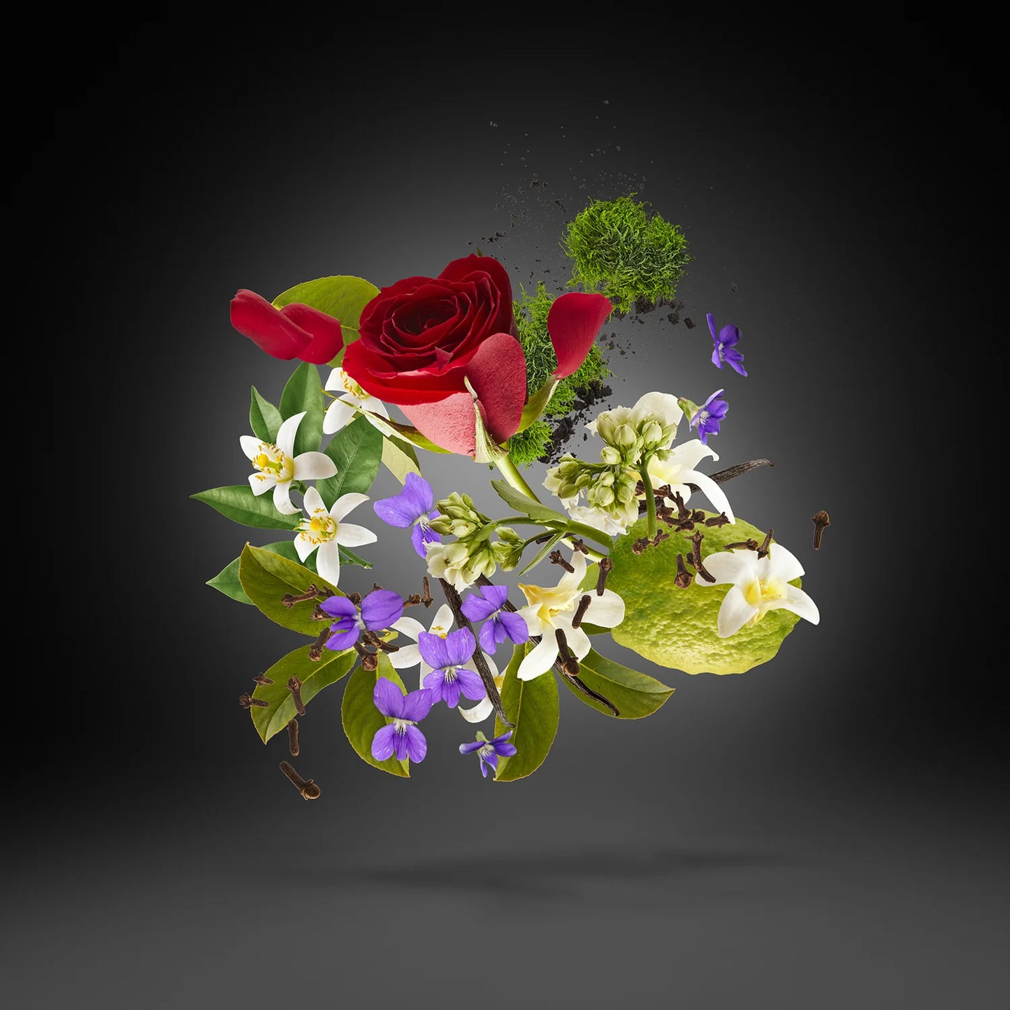 Xerjoff P.13 LIMITED EDITION